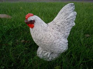 Hen $30