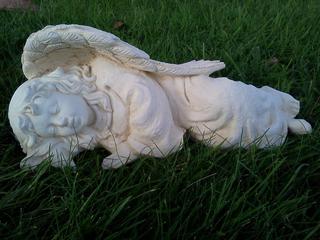 Sleeping angel $40