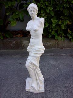 Small venus $50