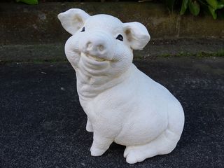 Cute pig $40