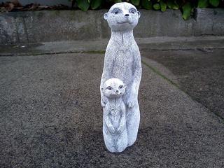 Small meerkat $20