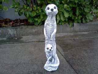 Large meerkat $45