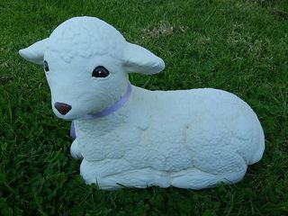 Lamb $25