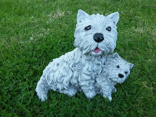 Scottish terrier $30