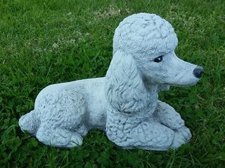 Poodle $30