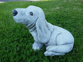 Basset hound $30