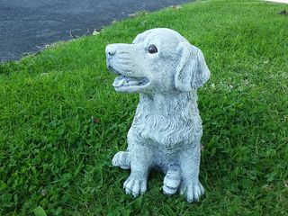 New dog $30