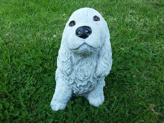 Spaniel $30