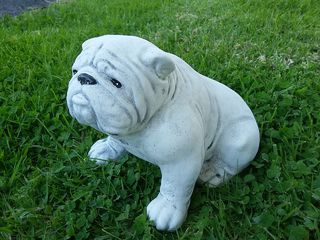 Bulldog $30