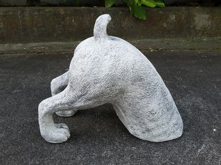 Half dog $45
