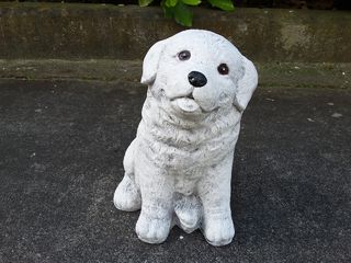 Labrador $40