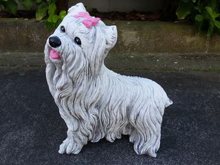 Sydney silky $50