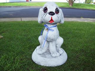 Happy dog $50