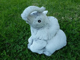 Elephant $25