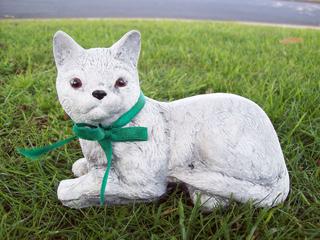 Small cat $20