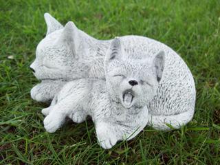 Twin cats sleeping $20