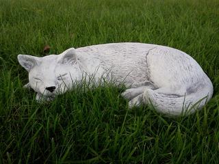 Sleeping cat $45