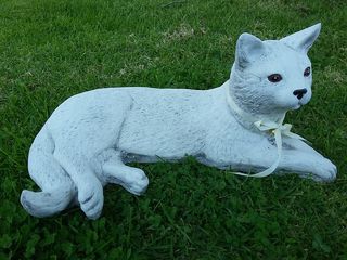Cat head up $45