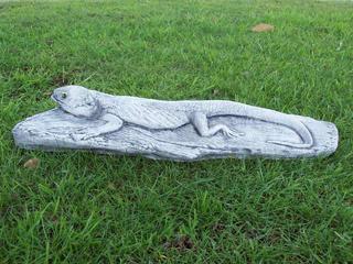 Lizard $35