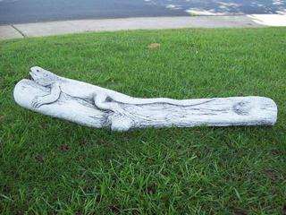 Lizard on log $45