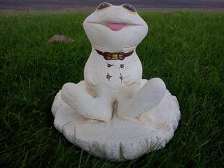 Funny frog $50