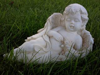Small angel $25