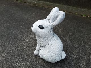 Rabbit standing $20