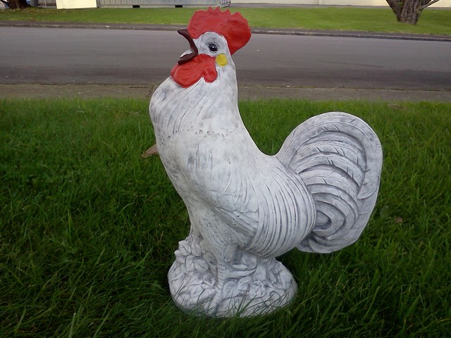 Rooster $50