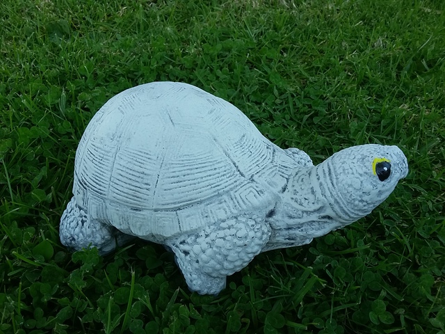 Medium turtle $25