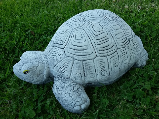 Large turtle $30
