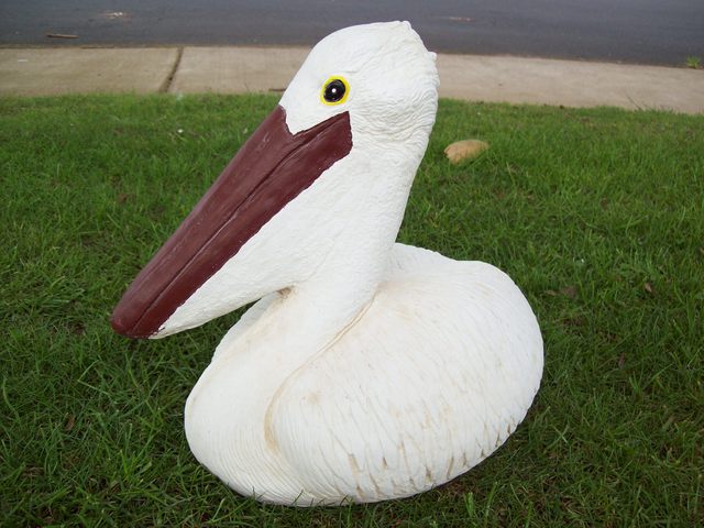 Large pelican $50
