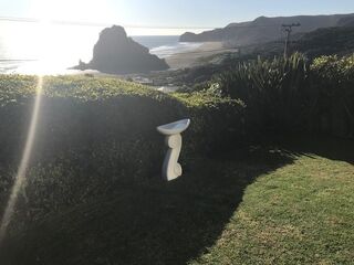 Double Koru birdbath Piha view 2